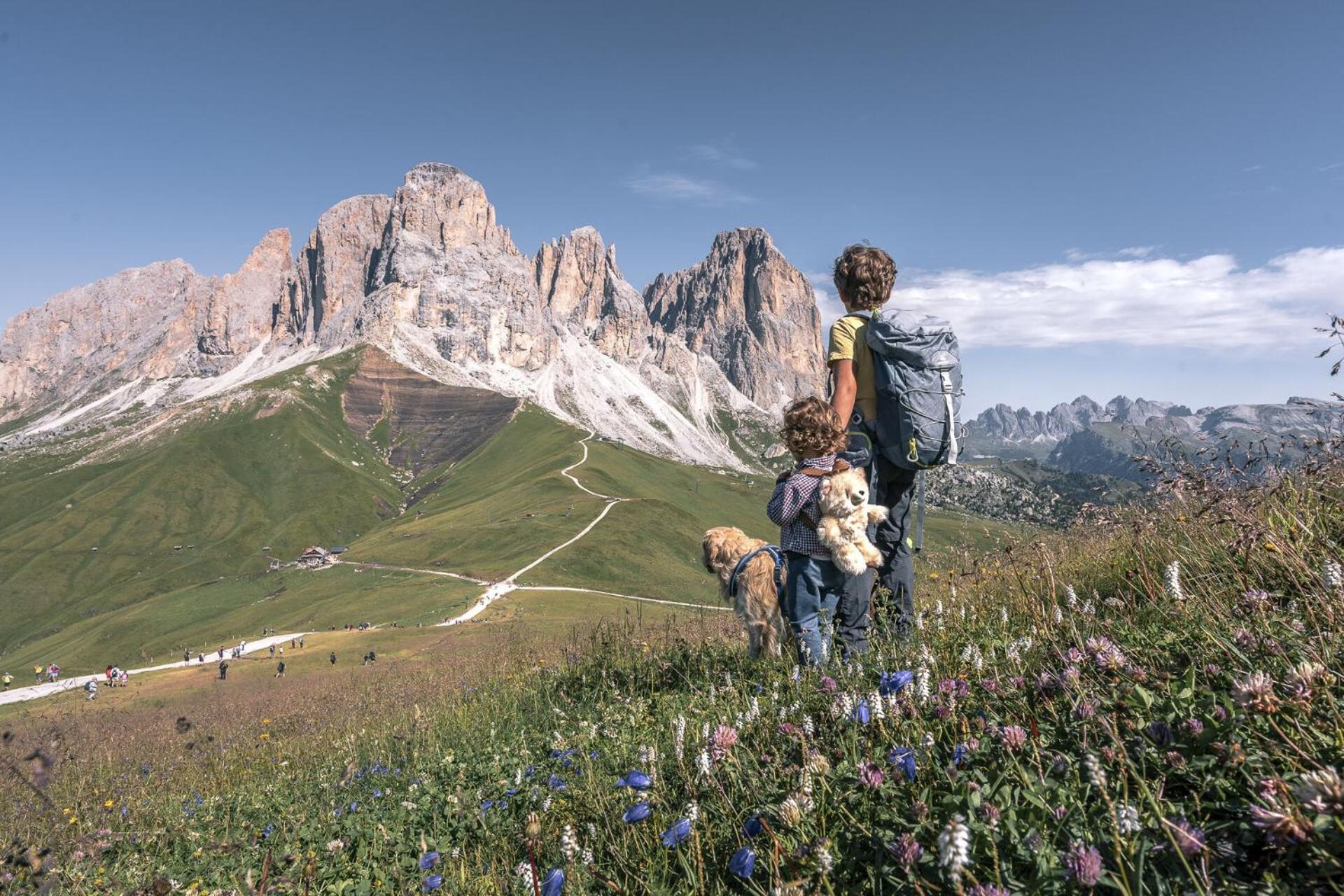 Appartamenti Cesa Col De Pin Canazei Zewnętrze zdjęcie